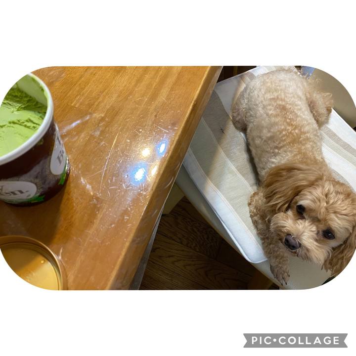 Bce3bc4c b822 4247 814e 17cd835267a3 1632000693697