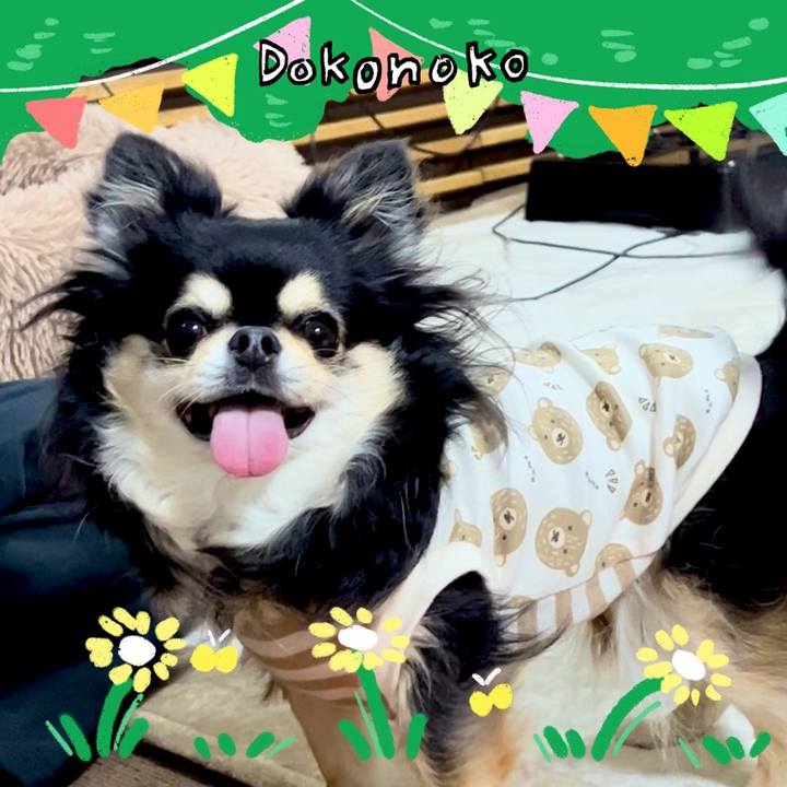 Bce3d5d1 d6f1 4696 91f6 58bf389948ed 1711160940653