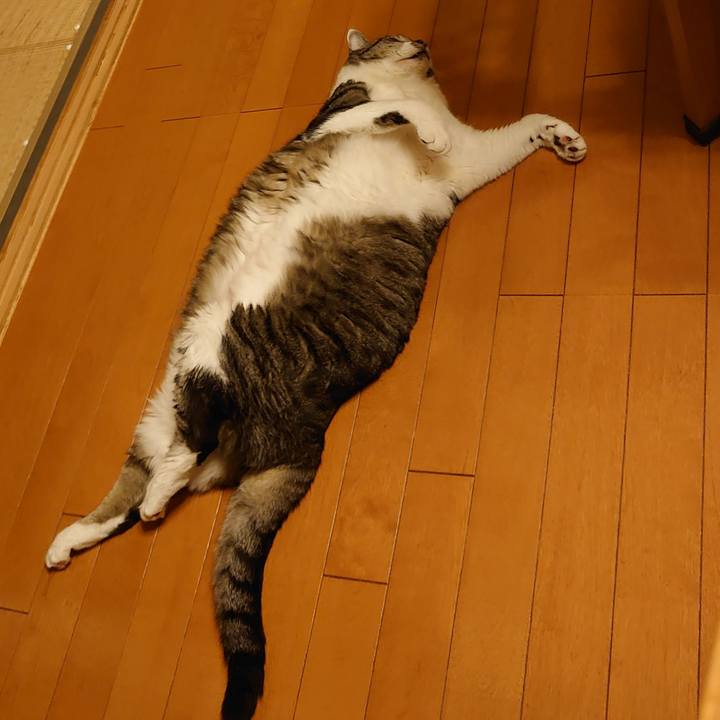 Bce3ec80 4392 47f4 970f fa48eaf2c6fe 1693831574782