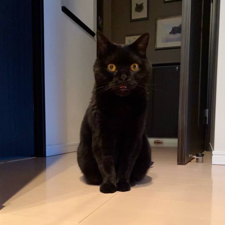 Bce421ad ed85 4c04 810f fe6c367c0c70 1748252197916