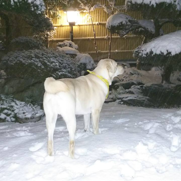 Bce43150 8985 438e be37 370e3140cb5b 1516620612354