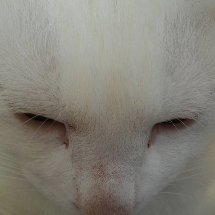 Bce43562 30c7 4098 a8e5 627837bf10e3 1521265342440