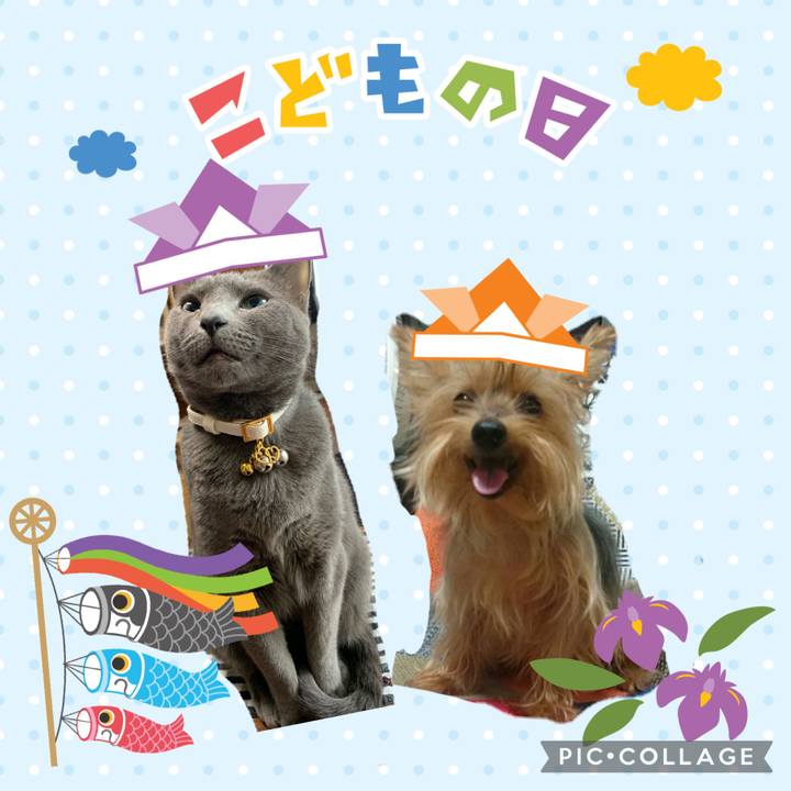 Bce47c07 396c 4fe3 ad37 72a41a755af2 1620182892529