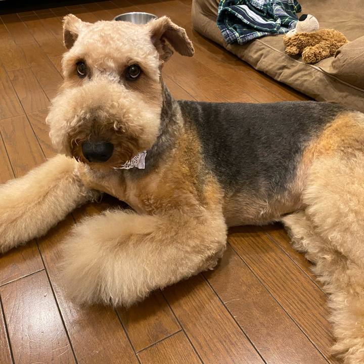 Bce4866f 2566 46a6 a908 eabe5a33da7d 1598701887255