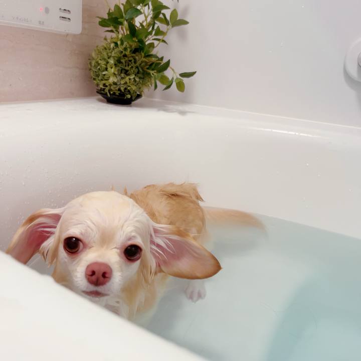 Bce4ead8 3fe1 44f4 9991 4422aeba6715 1695723342705