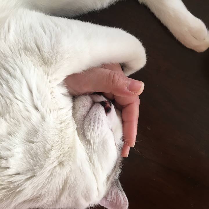 Bce50be1 6129 4bb5 bb13 b67f3233b2a6 1547690862104