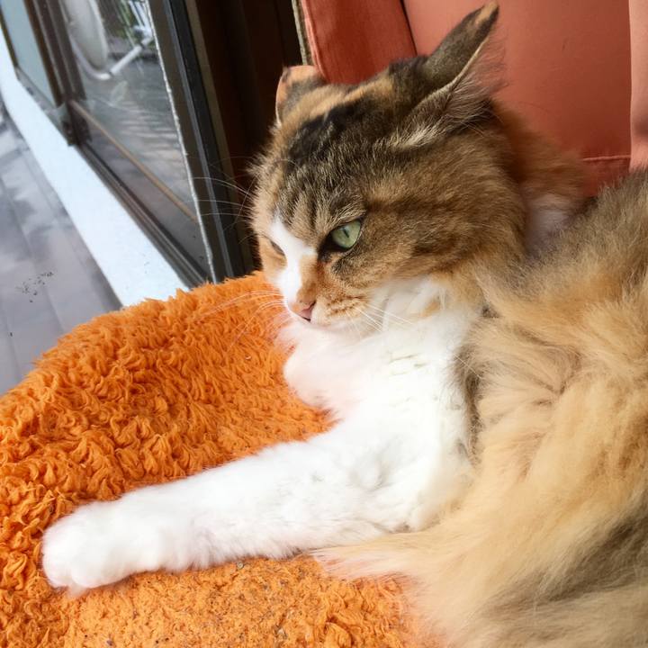 Bce511f9 f203 4abf bea4 bc0700e53b04 1563178974087