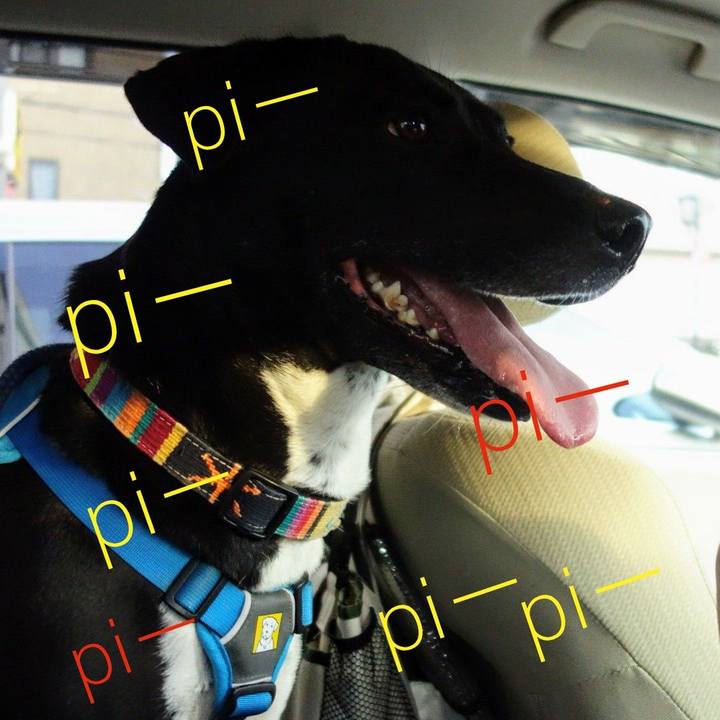 Bce516d5 0072 45aa 929b bf70a4762b9a 1621076350292