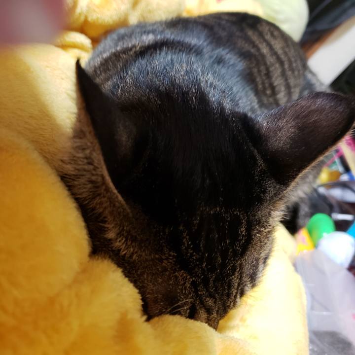 Bce5aeae 9046 412e b6da 2475148314b6 1571925860899