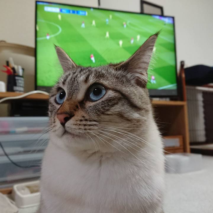 Bce5cd89 bcb8 442a 91d3 ead8a70783e3 1554984755064