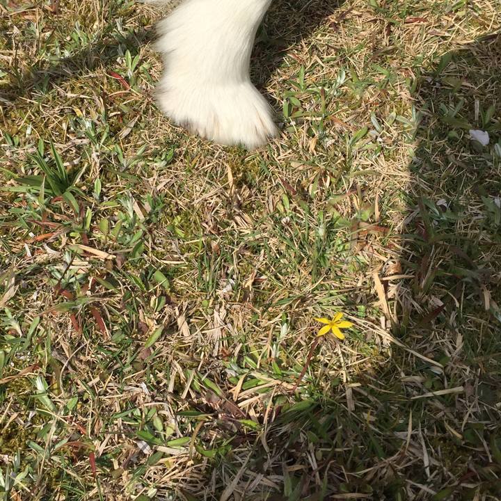 Bce5fbc7 37b1 4fe8 aa5b e3dc5fde3062 1554429277823