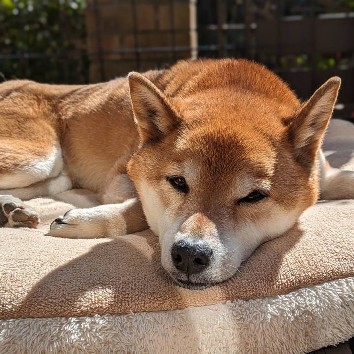 Bce5fe1a d3b8 4bab b318 1f4d1bf5a55f 1709093698694