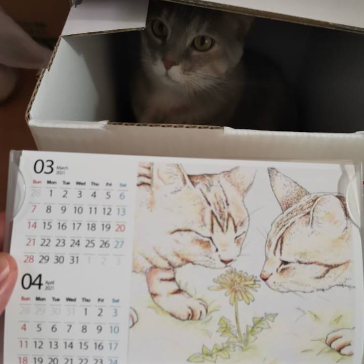 Bce61730 0f9e 4b7a 83a2 1e07bea539b0 1614571412342