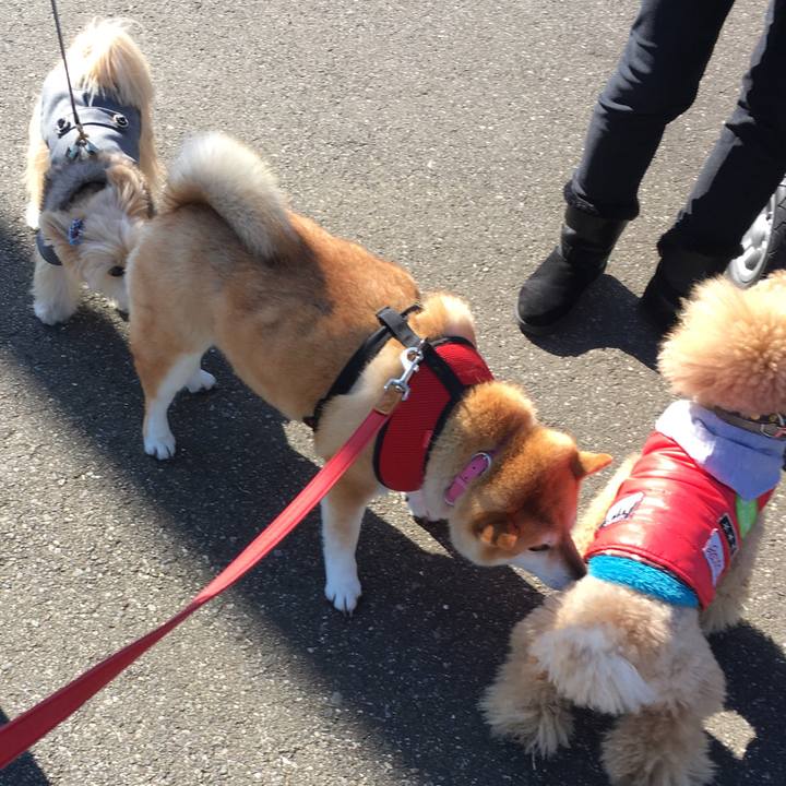 Bce62b93 6ef7 4859 8eca c361d4d0ef27 1611025815923