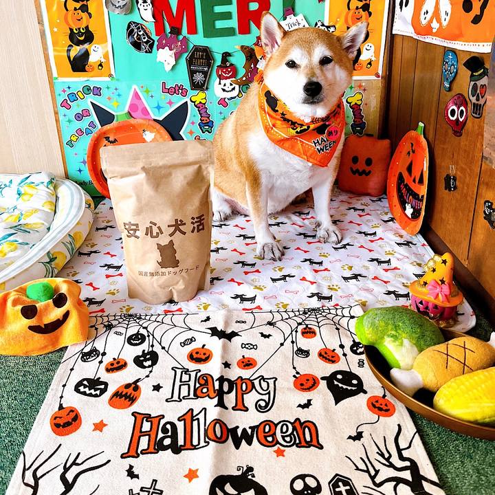 Bce64977 a67e 4757 847d b6278c022a8e 1664605670373