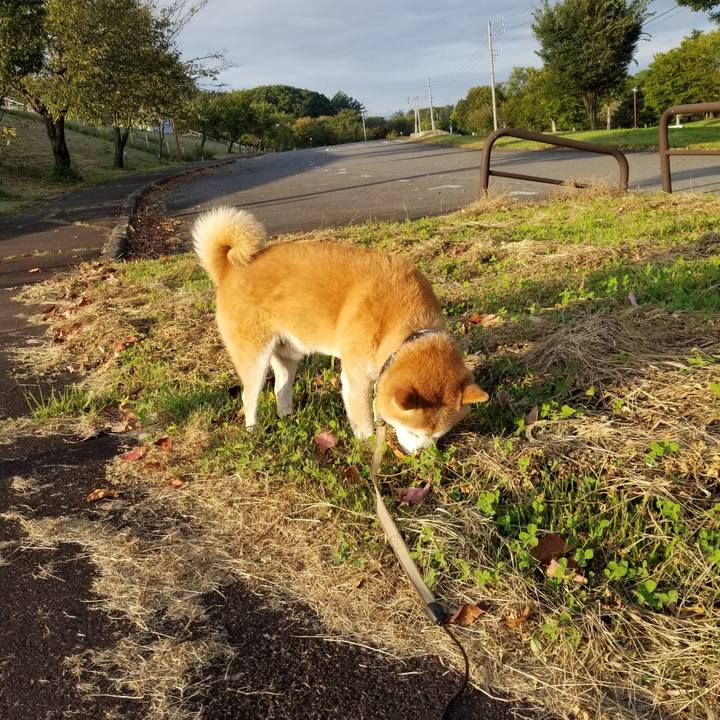 Bce65779 37dc 47b0 a701 07425293b58c 1663142164442