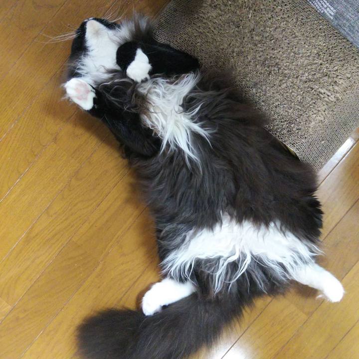 Bce6723a a7c0 4c83 94f8 7b2bff19b056 1660309959235