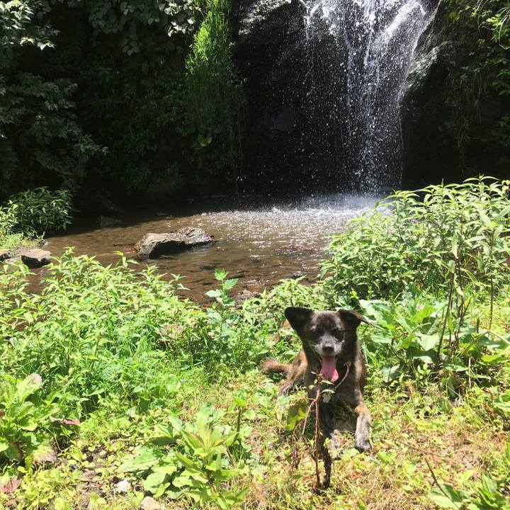 Bce68cc5 4d61 4b35 9caf 32f114291ff8 1535765533373