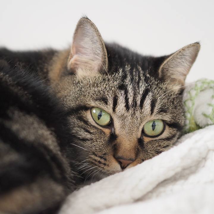 Bce69781 ea51 4965 b78b 26ed6922796f 1604204009954