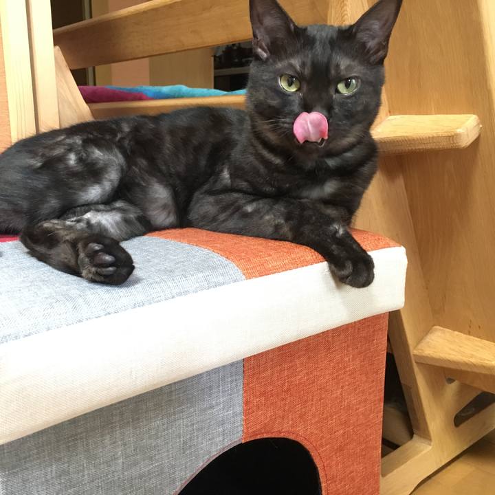 Bce698a1 d496 4a82 8642 b878e23b2b81 1556932038234