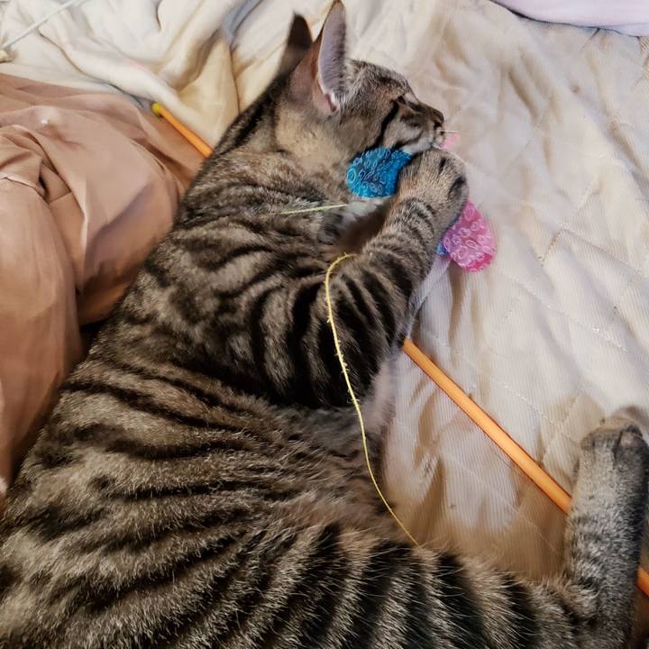 Bce69e1e 3da0 44c2 9ad9 6c014e830fe5 1541908904268