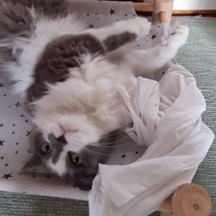 Bce6d363 33cd 4753 a6b4 b1482f2bb535 1661064141990