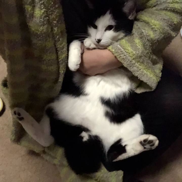 Bce6fcc0 3614 49f1 9244 f57313fe7049 1610725987010