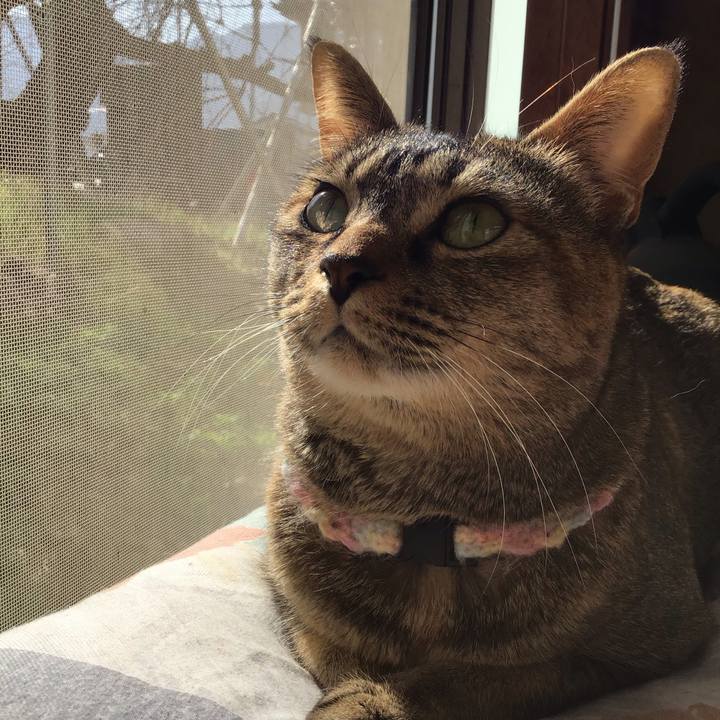 Bce711c7 d090 41d3 b624 378dd9d2067f 1616718831234