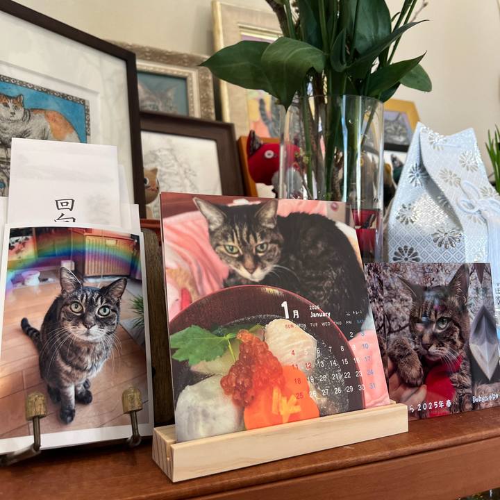 Bce737de b9b8 4a4e b6dd c8f689b67b18 1767241625630