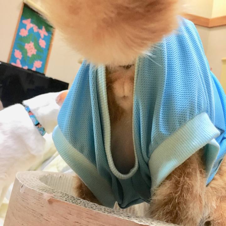 Bce74c45 0d96 425c a0f9 425ec146025d 1520252429480