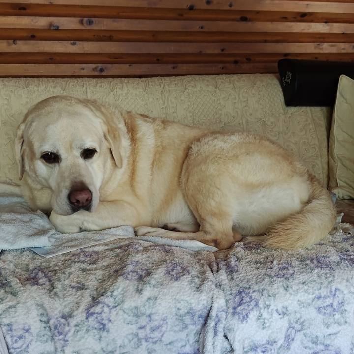 Bce7594e c6c5 4a37 928a 8e9a0defb73a 1759046649821