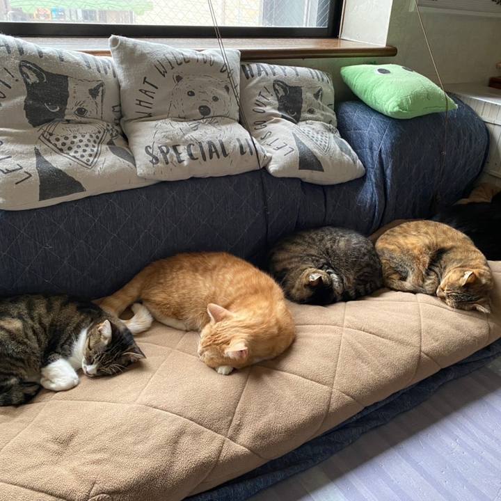 Bce76b23 3daf 4ae5 964b df3bde221374 1635400605014