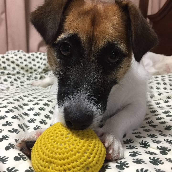 Bce777a4 961b 42c4 9531 1d9ad9f796df 1536596029096