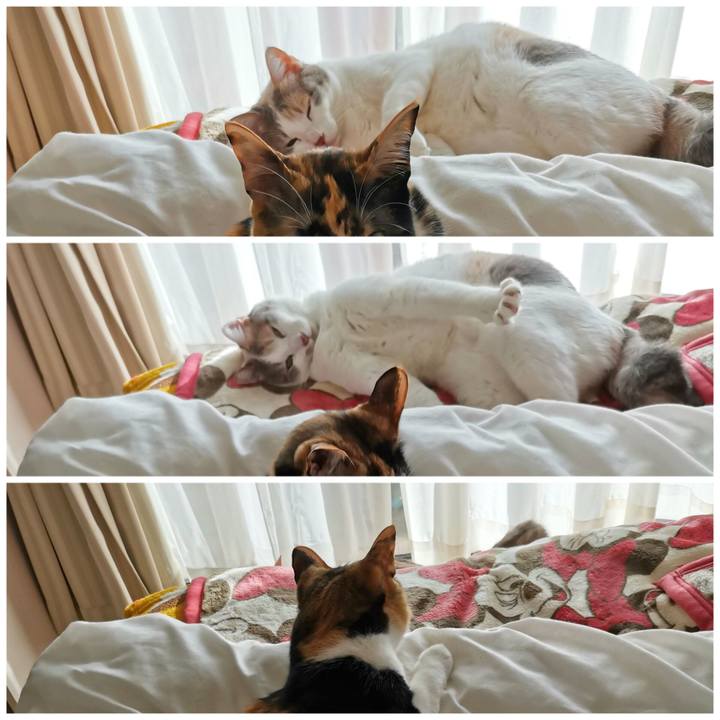 Bce78284 b704 40d5 8b75 c9703338b0f1 1677732704805