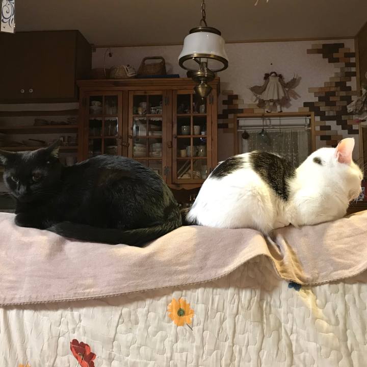 Bce7b3ae 63a0 433a a774 b250eef57ca6 1579614080374