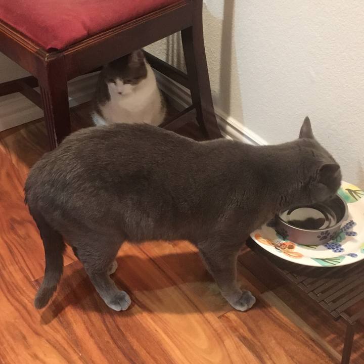 Bce7bb91 cc50 44e7 923b 1d9561e0c99d 1647390876833