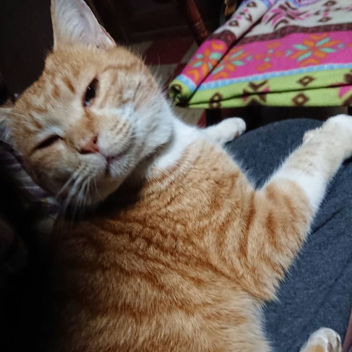 Bce7bdb0 6268 4440 a1b1 ae86c7d2e471 1578344063610