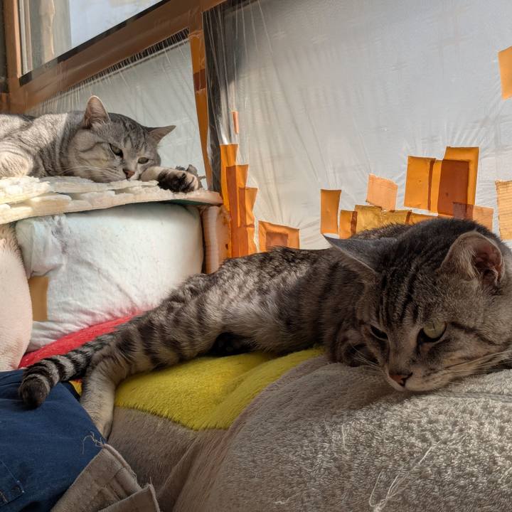 Bce7d210 326b 423a a788 1ee62b72b0ca 1740795776354