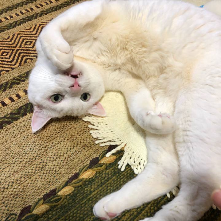 Bce7f6f1 c64c 4bdb b804 dc8ff95cd0f0 1608644849926