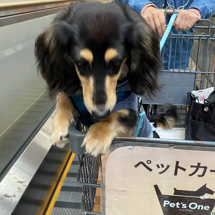 Bce7fb8a dbae 4efe b52d 117b21ff2e43 1681085865754