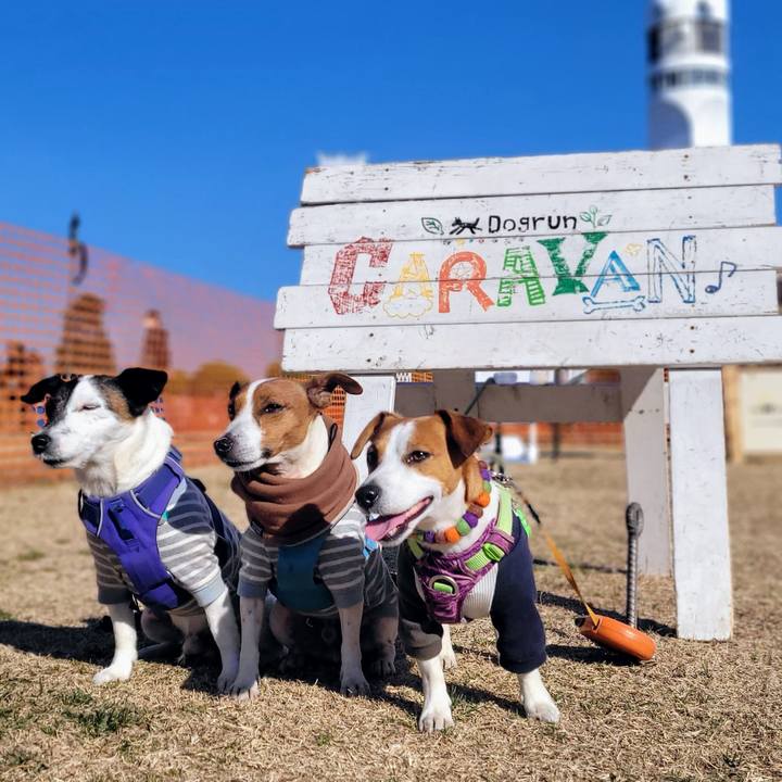 Bce80633 a986 47f9 afd7 bbe787f5d15f 1715256804705