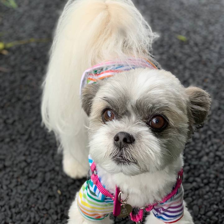 Bce8105a b69f 4d2a a11e 3709799326bb 1561958015138