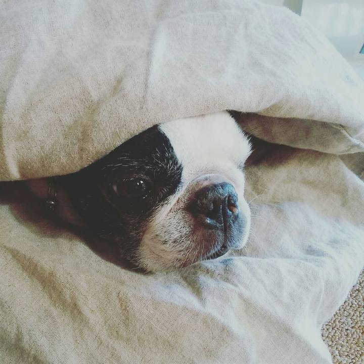 Bce81e77 d371 424f ae03 7d21f470688f 1541393932541