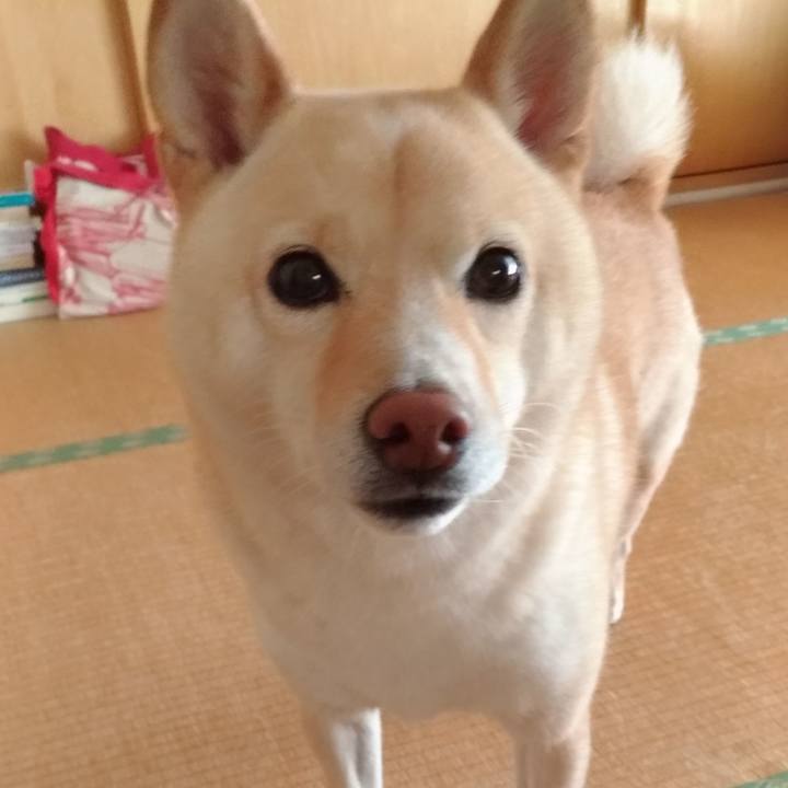 Bce824a7 443c 4aa8 bbc7 2ff88ff9bb7f 1602977666686