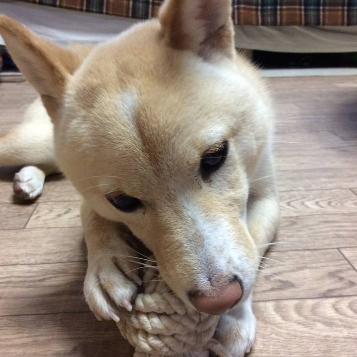 Bce8a897 18ec 4c70 96aa fa022f8c7f87 1510438176730