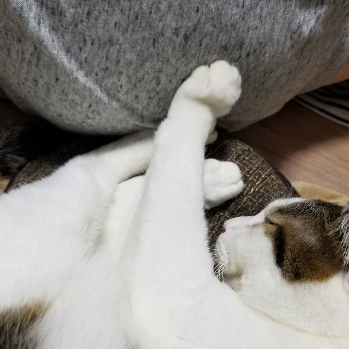 Bce8aff2 089f 458f a121 8c6f03d083f4 1613300009772