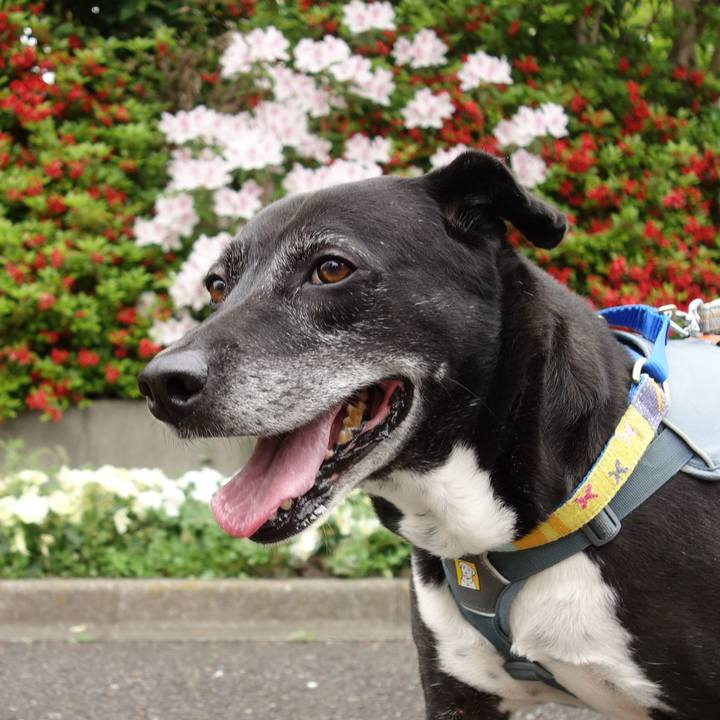 Bce8b686 7cef 4817 8a68 eee4509c0b6c 1745796873940