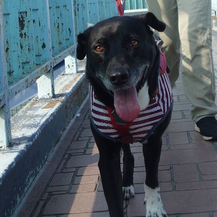 Bce8ba40 5dda 4360 8c85 2c06fe535d5e 1687912835883