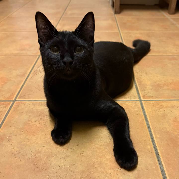 Bce8c114 37eb 4d11 a962 f6356d1f426e 1760997865024