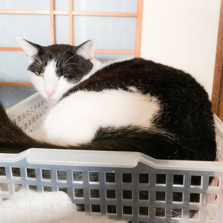 Bce8ca39 ff00 433b 9d77 c1eee2b3fb88 1568253397067